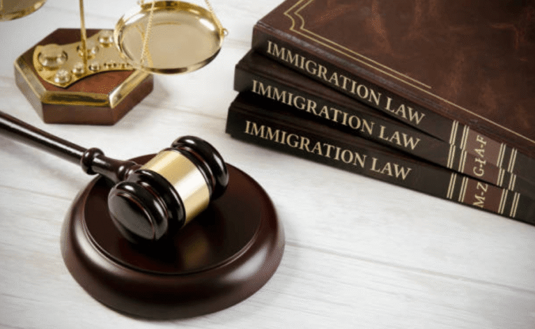 Immigration Services in the USA: A Complete Guide for 2025