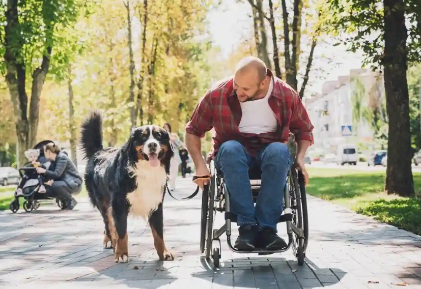 NDIS Services That Help Build Skills in Adelaide