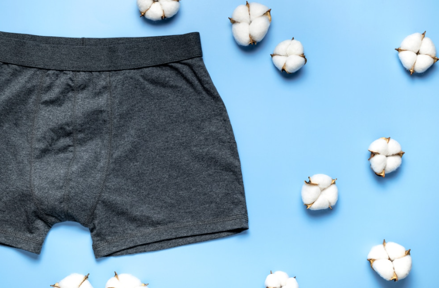 Say Goodbye to Synthetic Fabrics with 100% Organic Cotton Boxer Briefs